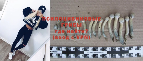 a pvp Россошь