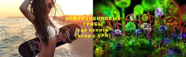 трава Ельня