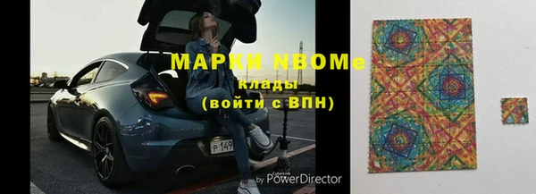 трава Ельня