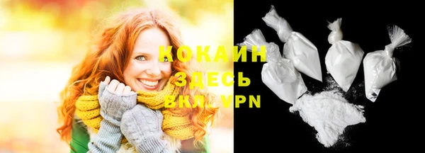 трава Ельня