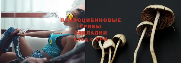 мяу мяу мука Елизово