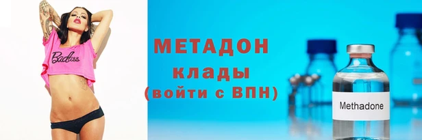 трава Ельня