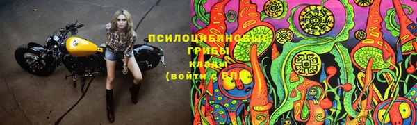 первитин Елабуга