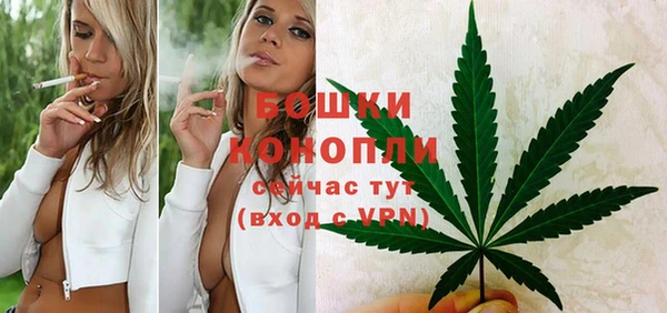 мяу мяу мука Елизово