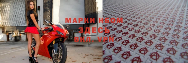 трава Ельня