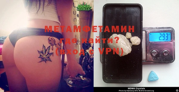 трава Ельня