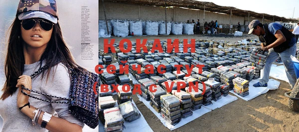 ПСИЛОЦИБИНОВЫЕ ГРИБЫ Заводоуковск
