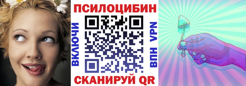 Галлюциногенные грибы Psilocybe  мега вход  Заводоуковск 