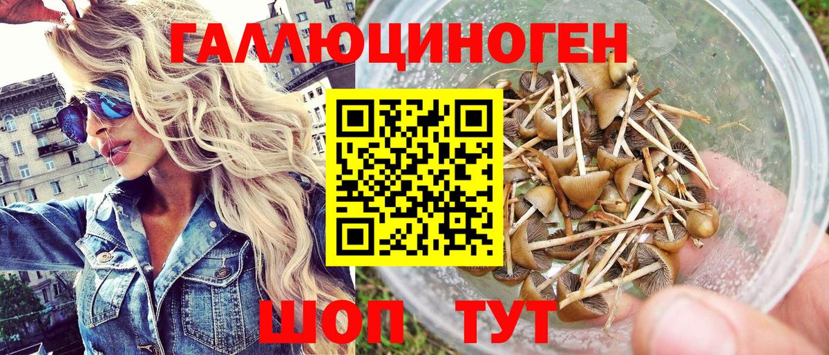 Галлюциногенные грибы прущие грибы  Вход с VPN  Псилоцибиновые грибы прущие грибы  Заводоуковск 
