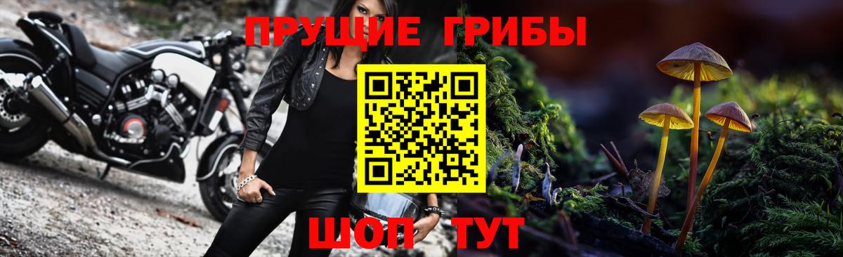 Псилоцибиновые грибы Cubensis Заводоуковск